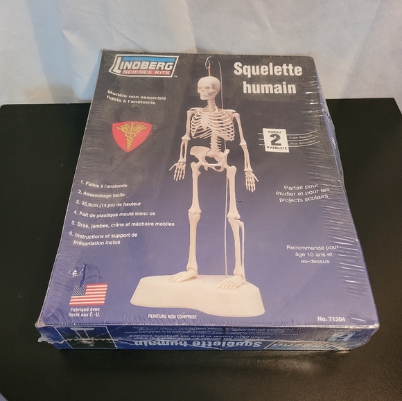 Lindberg Science Kits Human Skeleton Model Kit 71304 - Picture 5 of 5